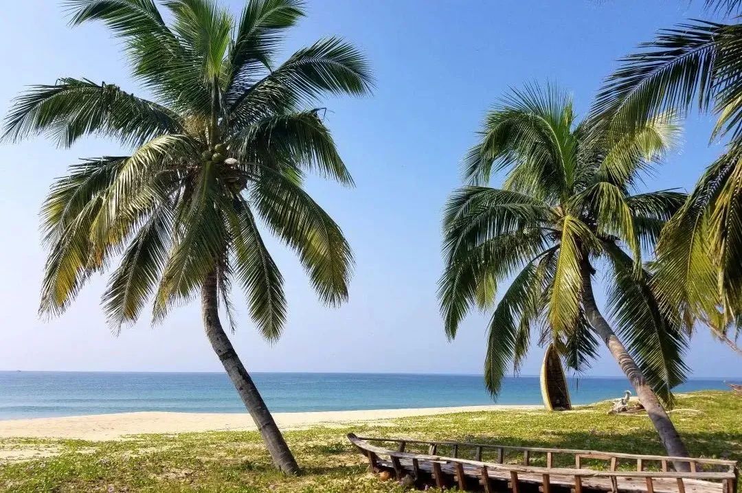 带娃国外海岛旅游推荐,适合带娃休闲度假的国内海岛