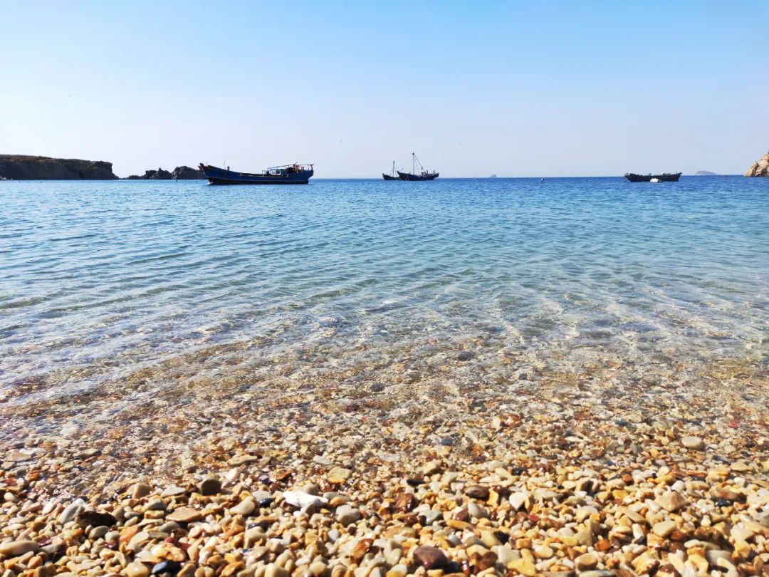 2022春节大连本命年免费景点,大连免费景点排行榜前十名