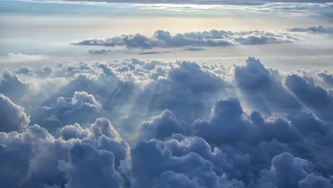 2019年十大无罪经典辩护案例,2016无罪辩护案例