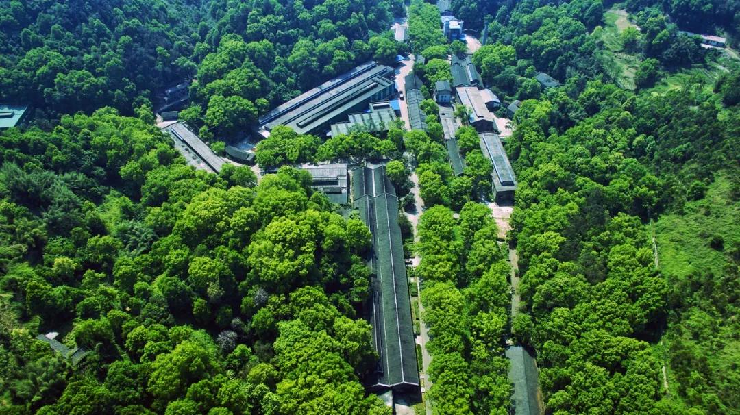 六尺巷的故事与家风,六尺巷历史故事及真谛