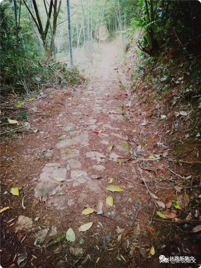 千年驿道和她魂牵梦绕的情人