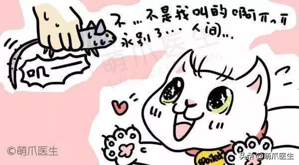 猫咪喜欢在塑料袋尿尿,猫咪吃塑料袋什么原因