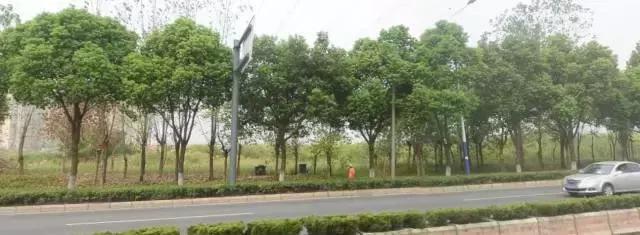 芜湖5路公交车最新路线和时间,芜湖公交记忆