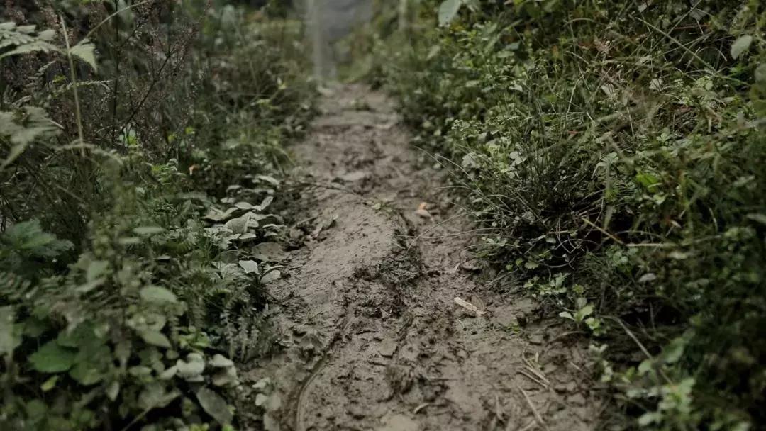 跨越2100多公里，我们为大山深处的孩子们上了一堂“云上美术课”