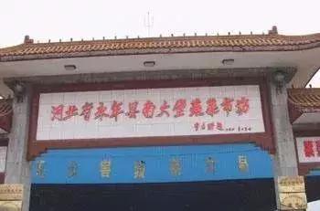 中国蔬菜批发市场大全,邓州菜农蔬菜批发市场在哪里