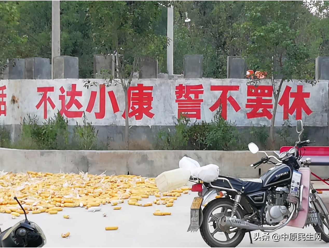 方城拐河镇党建引领,助力乡村振兴共同富裕