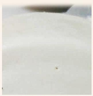 去黑头不踩坑,去黑头正确操作