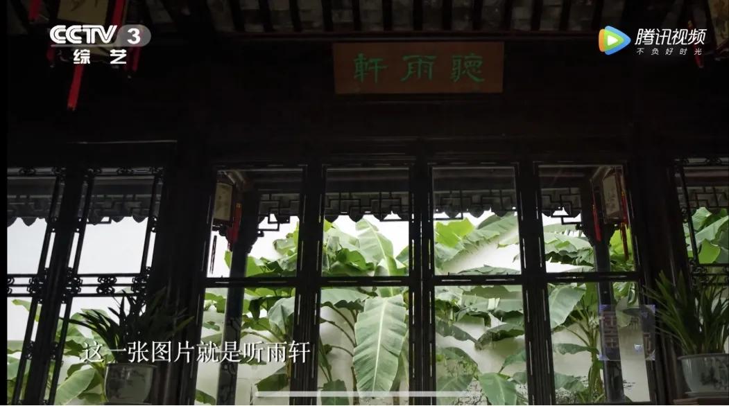 这株四百多年的紫藤，背后是整个江南园林