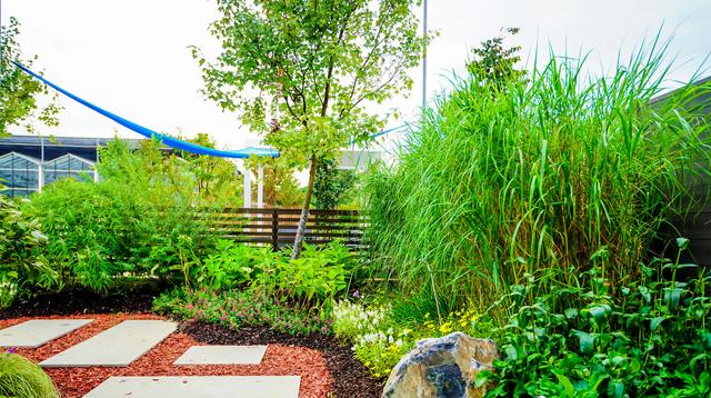 玛丽花园三期推出,玛丽花园景观设计