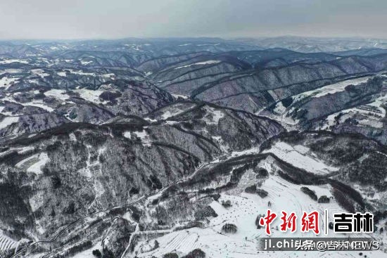 姘村ⅷ鏉惧箔闆潙,姘村ⅷ闆潙鏉惧箔