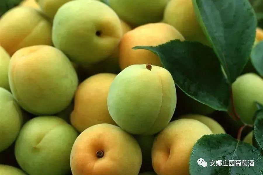 山崎威士忌最好喝的洋酒,山崎威士忌哪款好喝