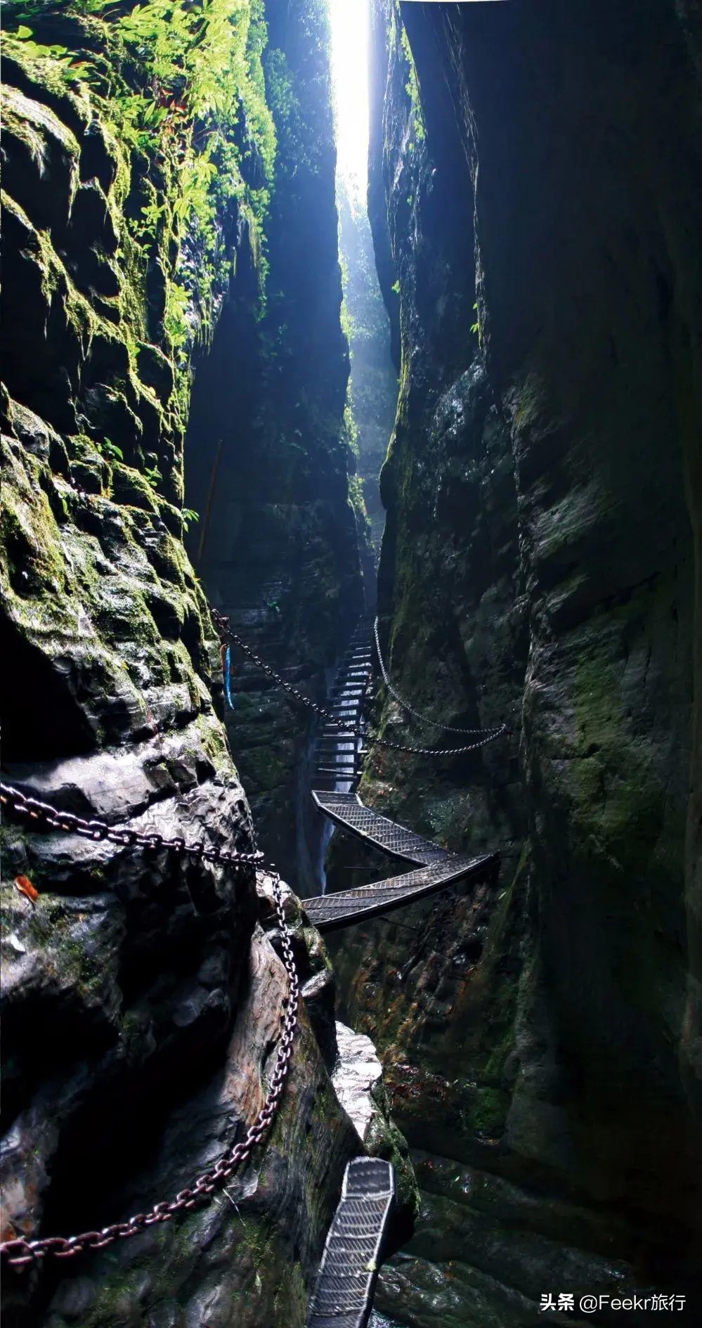 全网为阿朵淘汰鸣不平，而我想去她隐居5年的“世外桃源”静一静