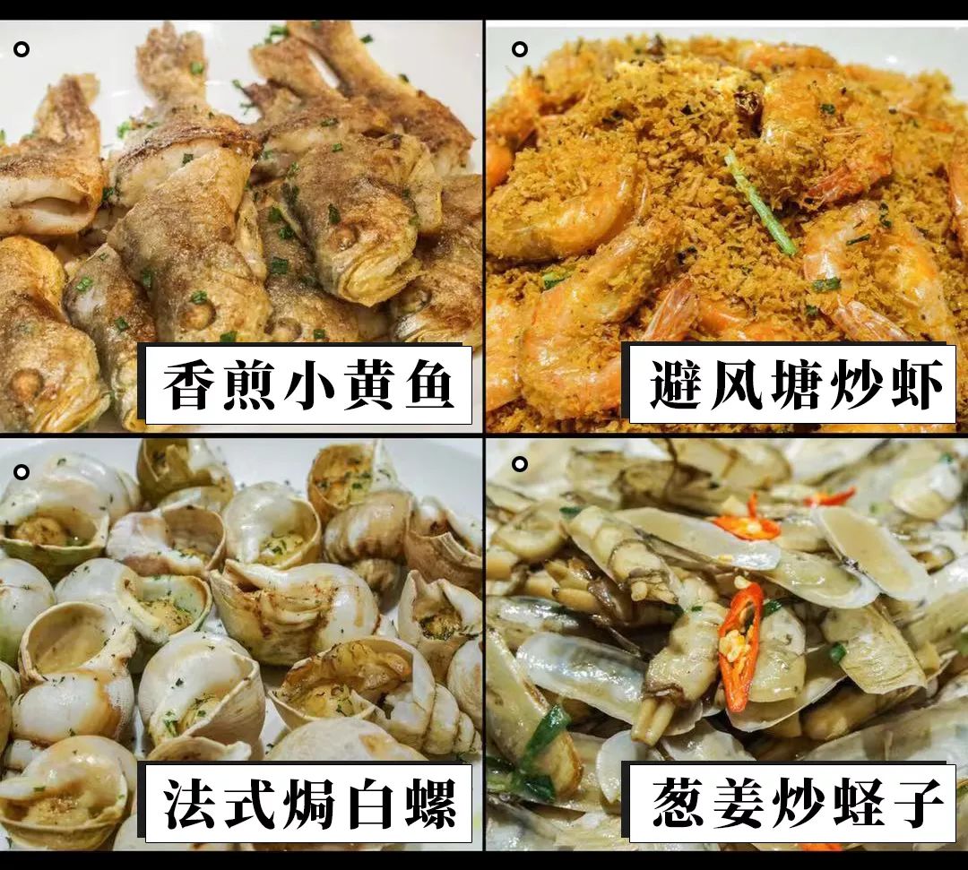 ¥168/位-海参花胶捞饭畅吃！小象拔蚌、天鹅贝、东南亚料理畅吃