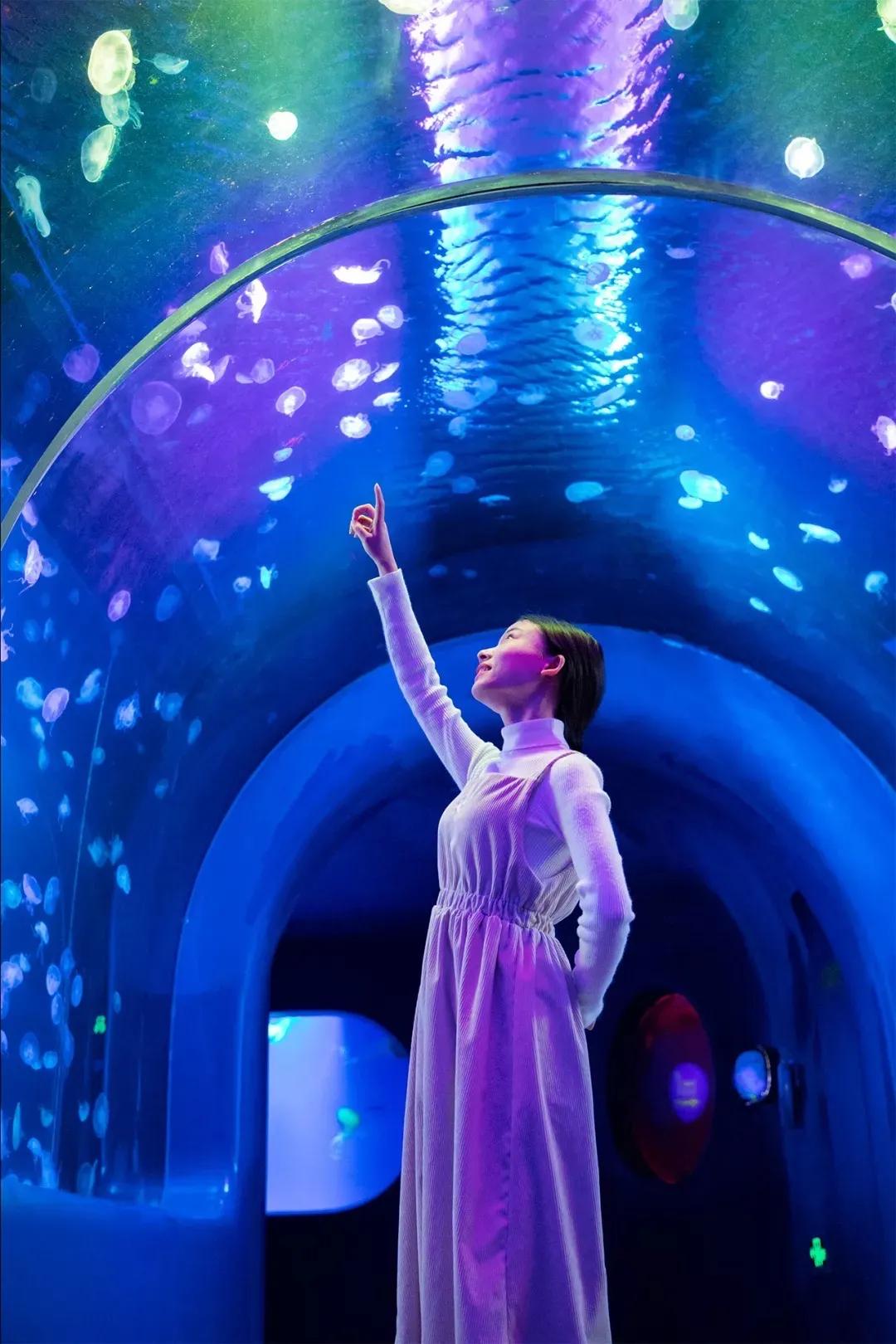 9号线上有什么景点吗,9号线游玩攻略大全