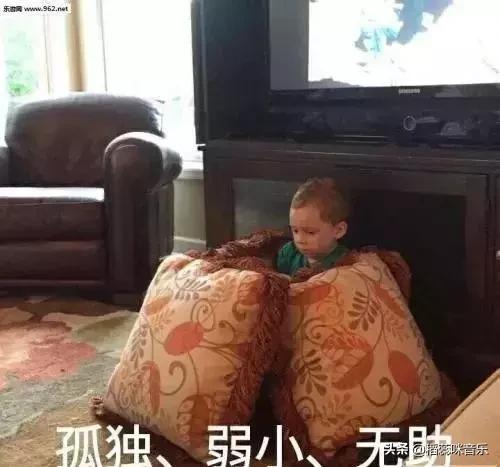 学弦乐的崩溃瞬间,学乐器的十大忠告