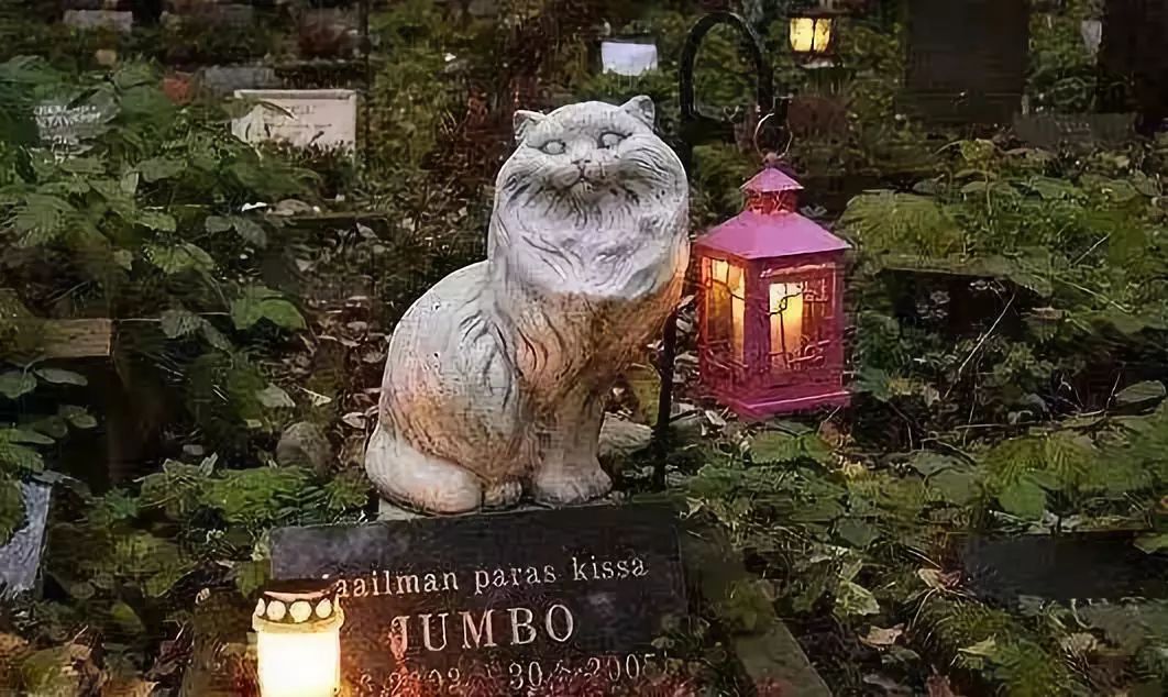 宠物经济剖析,宠物经济如何赚钱