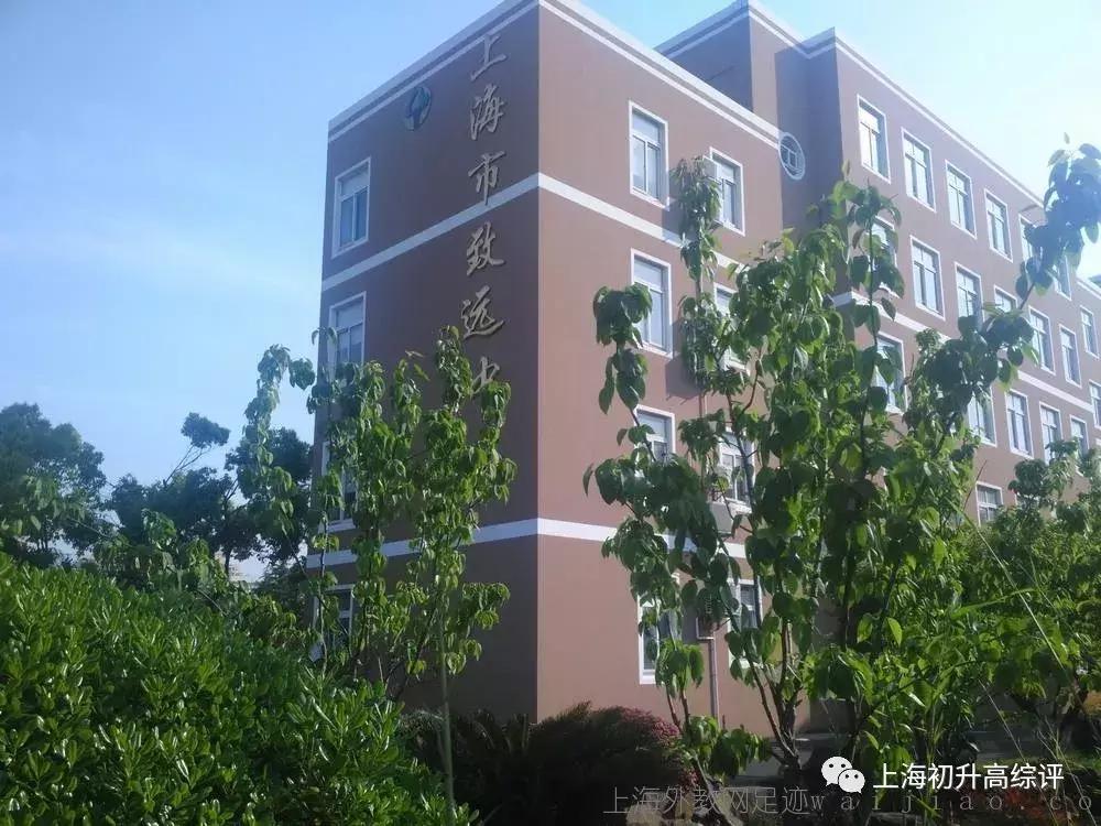 上海实验学校高考,2019上海市实验学校喜报