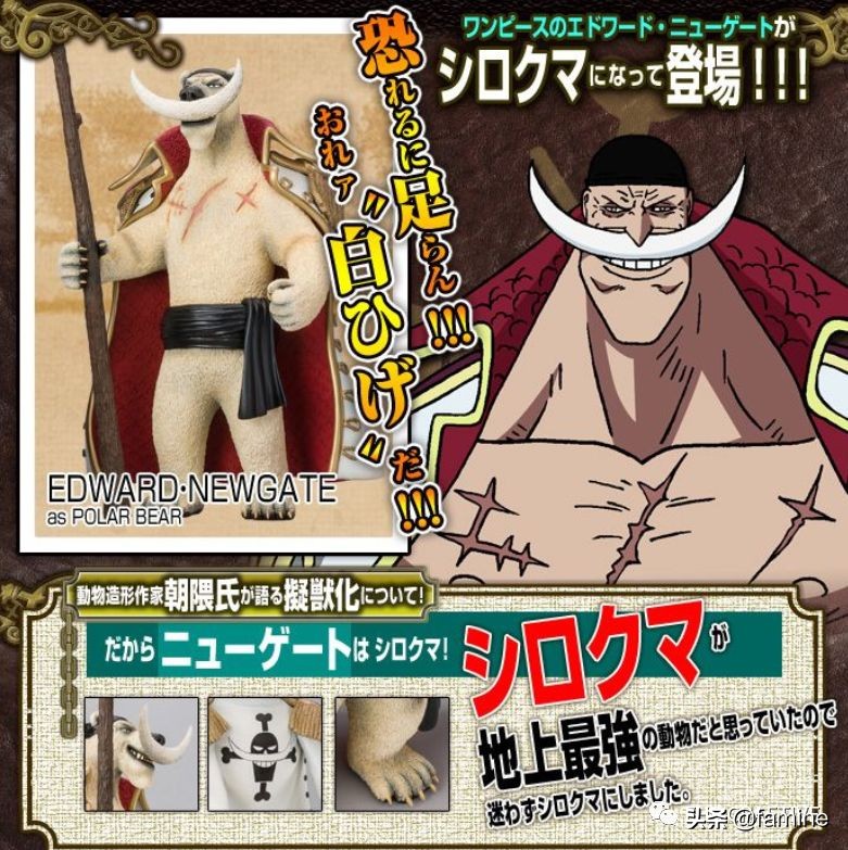 海贼王布鲁克模玩图鉴,海贼王白胡子模玩