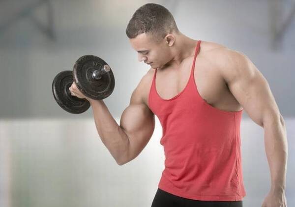 小白增肌健身计划,健身房健身计划新手小白