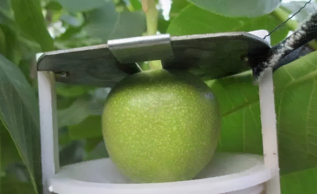 夹缝中求生存且行且珍惜,夹缝中求生存在逆境中求发展