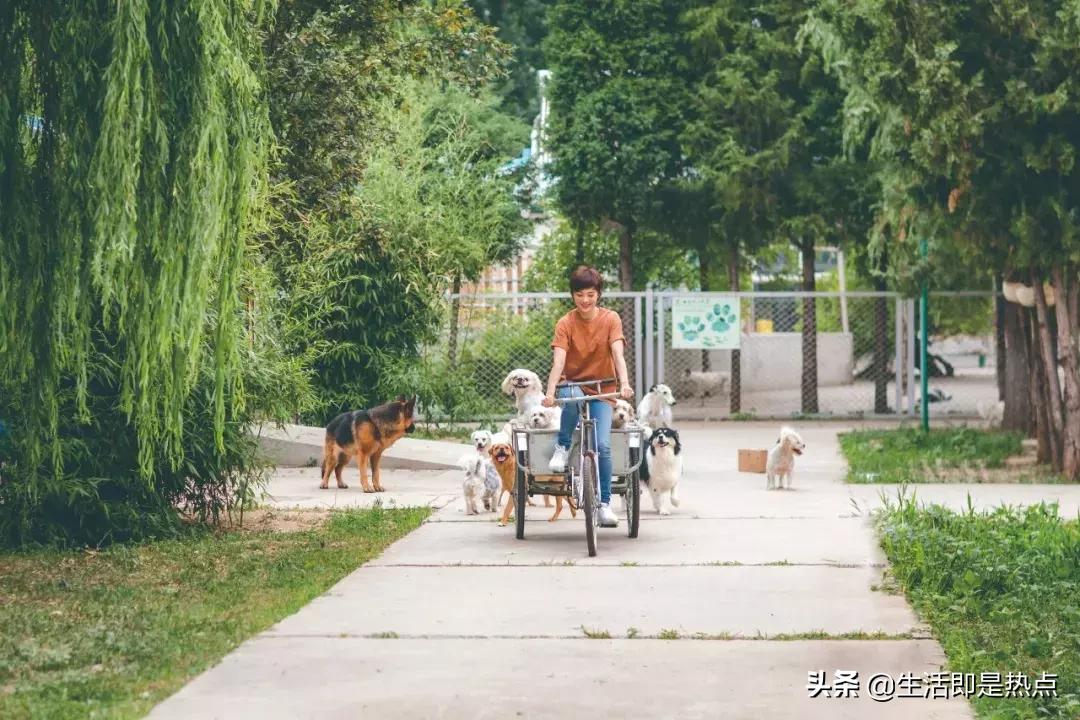 35岁孙俪重回颜值巅峰,孙俪对年龄的感慨