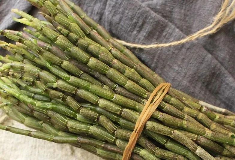 学习讲透中药,学透中医