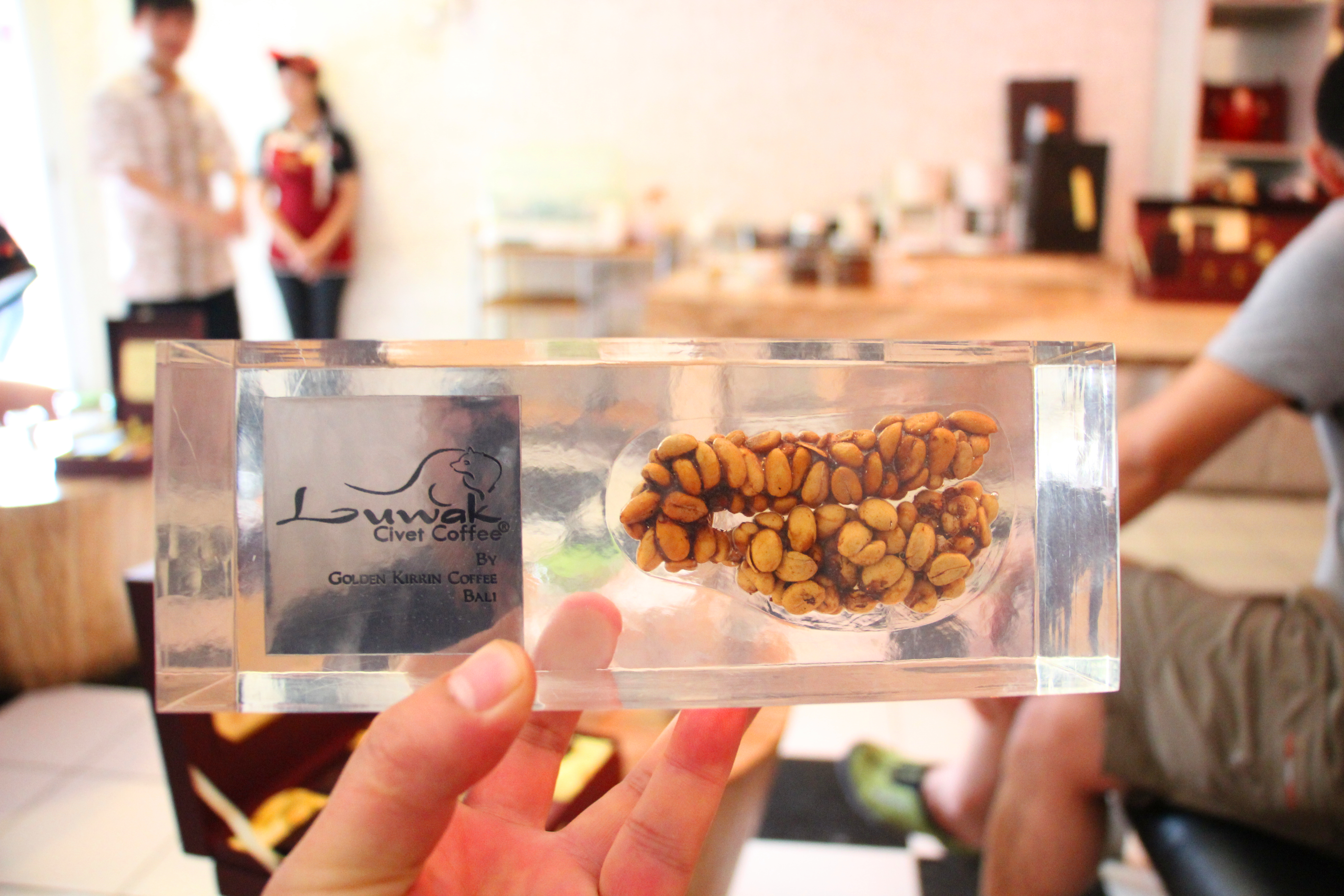 天堂之岛巴厘岛,天堂之岛巴厘岛旅游