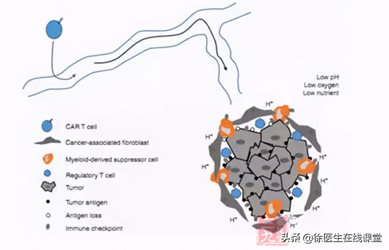 疫苗第一针和第二针隔多久有效,疫苗第一针隔多少天打第二针