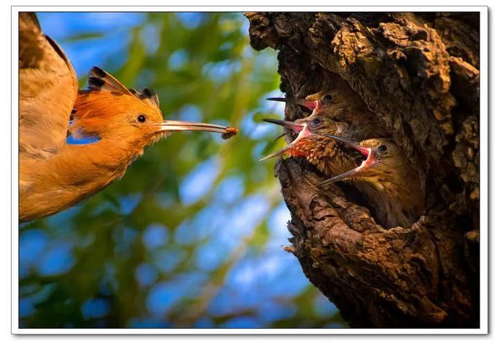 令人动容的图片,令人动容的电影大全