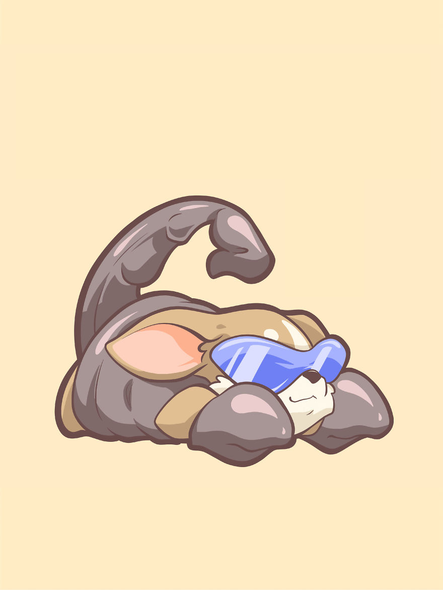 12星座的狗狗哪个最可爱呢,十二星座的摩羯座狗狗太可爱了