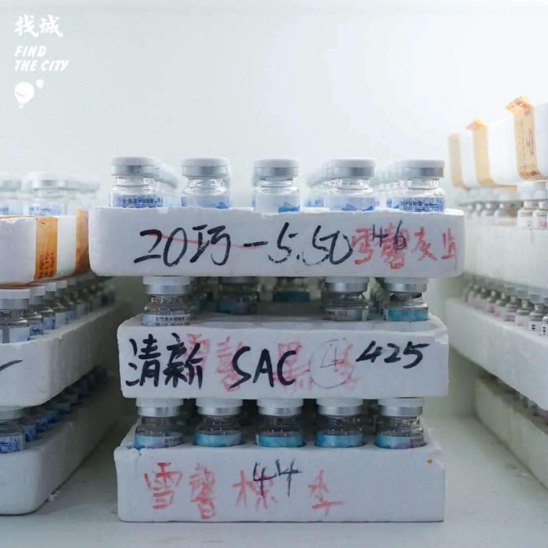 南宁最好的批发市场,南宁最便宜的家具批发市场在哪里