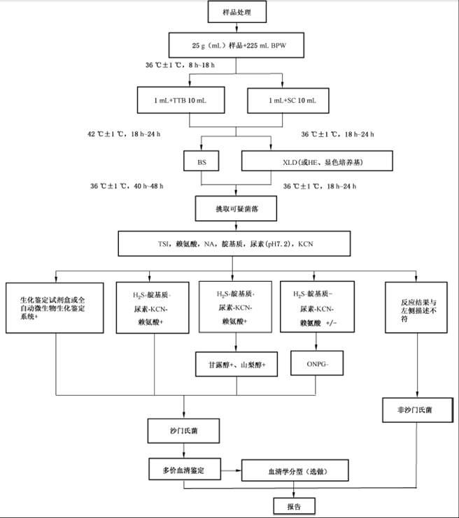 家禽养殖:外行人告诉你鸡白痢的防治不是想象的那么简单