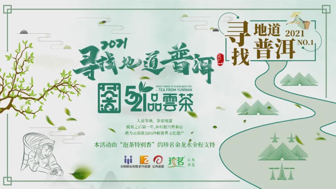 倚邦猫耳朵古树茶的口感特点,倚邦石韵茶坊猫耳朵茶