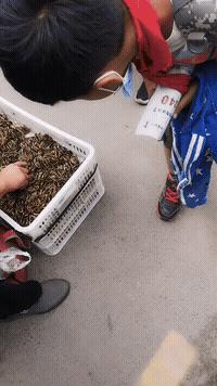 爆笑GIF：你敢出想法我就敢出人力，这就是农村的超神建筑队