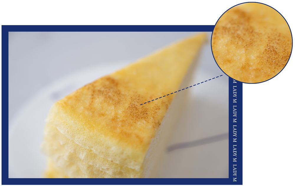 ladym款式,ladym新品牌