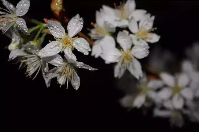 西法大青春力量,西法大