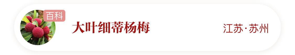 国家地理标志产品仙居杨梅,杨梅地理