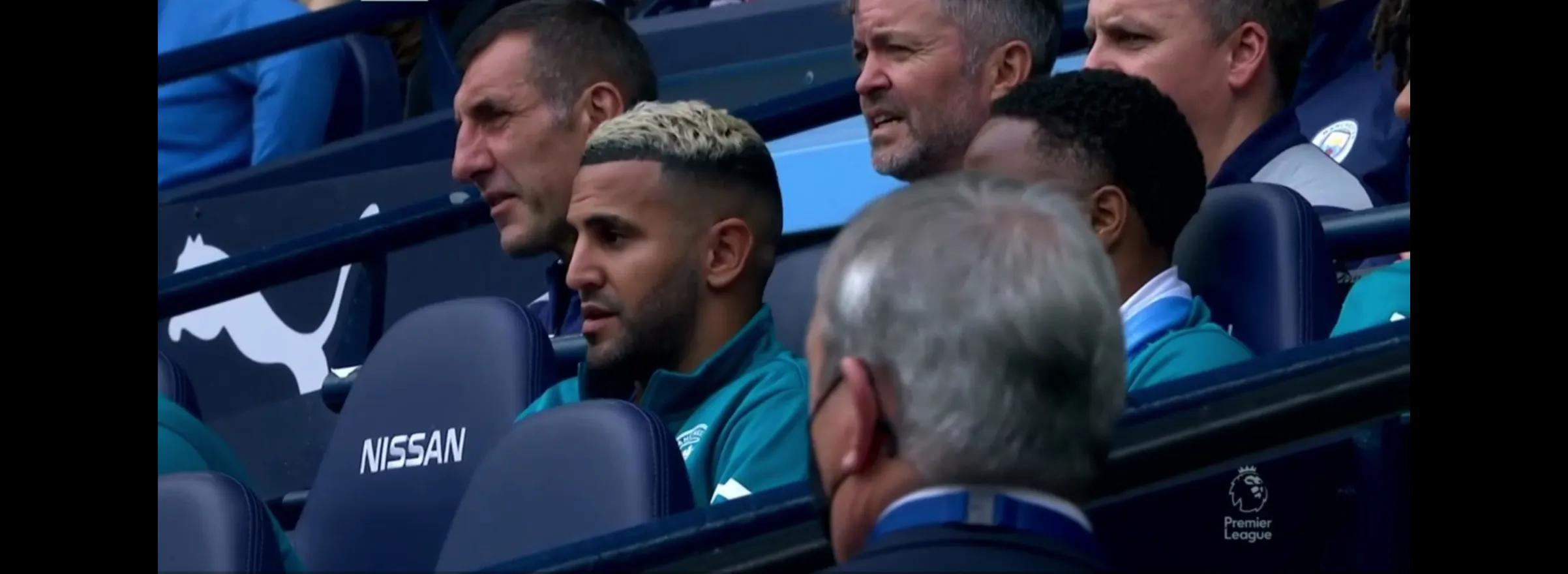 励志餐馆女老板,诺维奇女老板