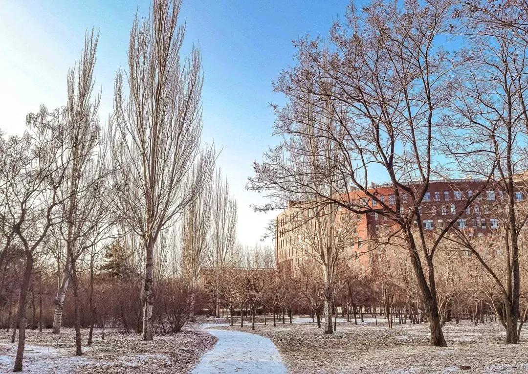 辽宁航空航天大学是211吗,院校介绍辽宁篇沈阳航空航天大学