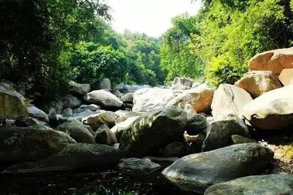 海南自贸港的全景,海南自贸港最新信息乐东