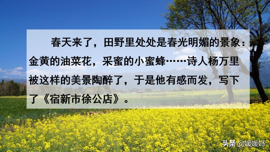 四年级下册第1课古诗三首练习,四年级下册古诗词三首的写作背景