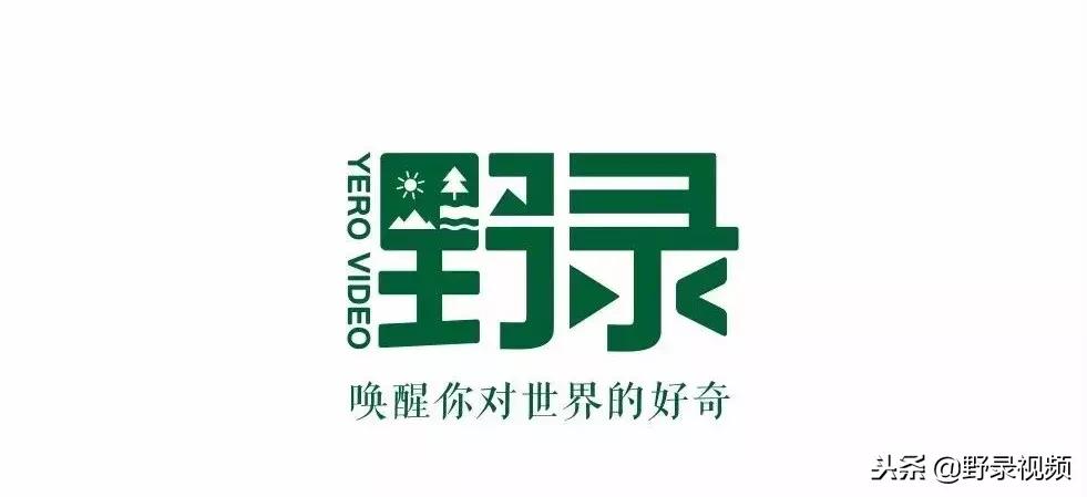 漂移赛车手中国,中国车手漂移挑战