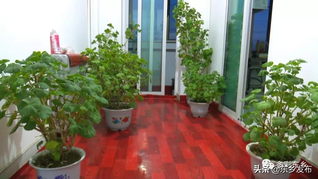 韬畫蹇楀潥涓嶅繕鏈府鎵朵埂浜插悓鑷村瘜,韬畫蹇楀潥涓嶄綆澶磋劚璐嚧瀵屽媷浜夊厛