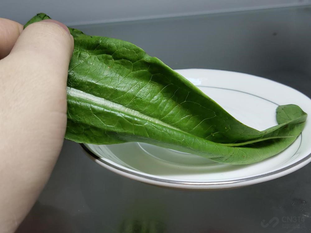 美的冰箱545性能,美的冰箱545星河紫