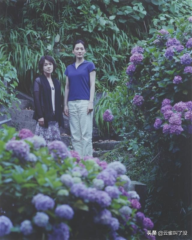 遇见春日的你：《海街日记》里的盐系女子们