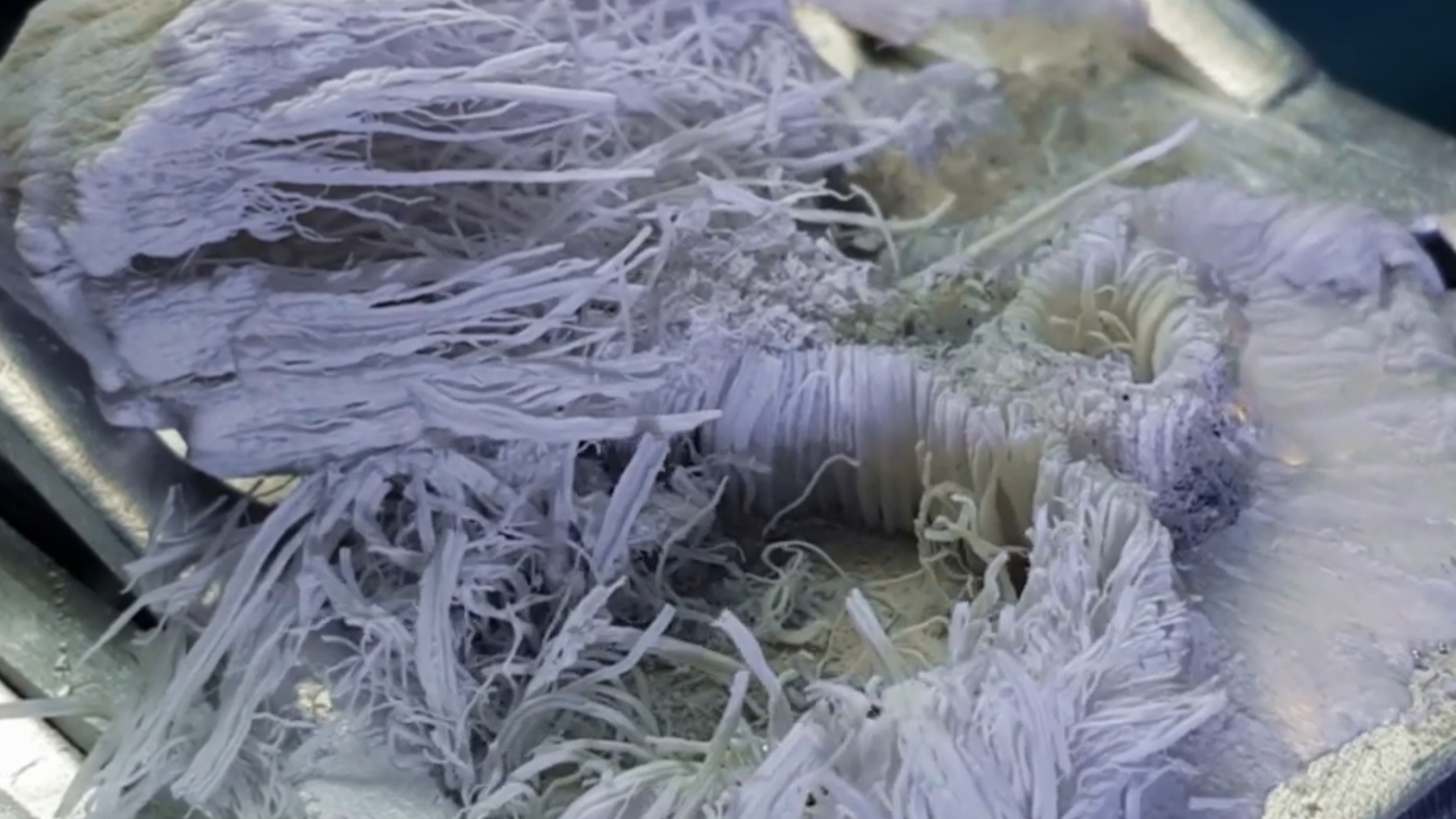 飞机上带水银而造成的悲剧事例,水银滴在铝板上会发生什么