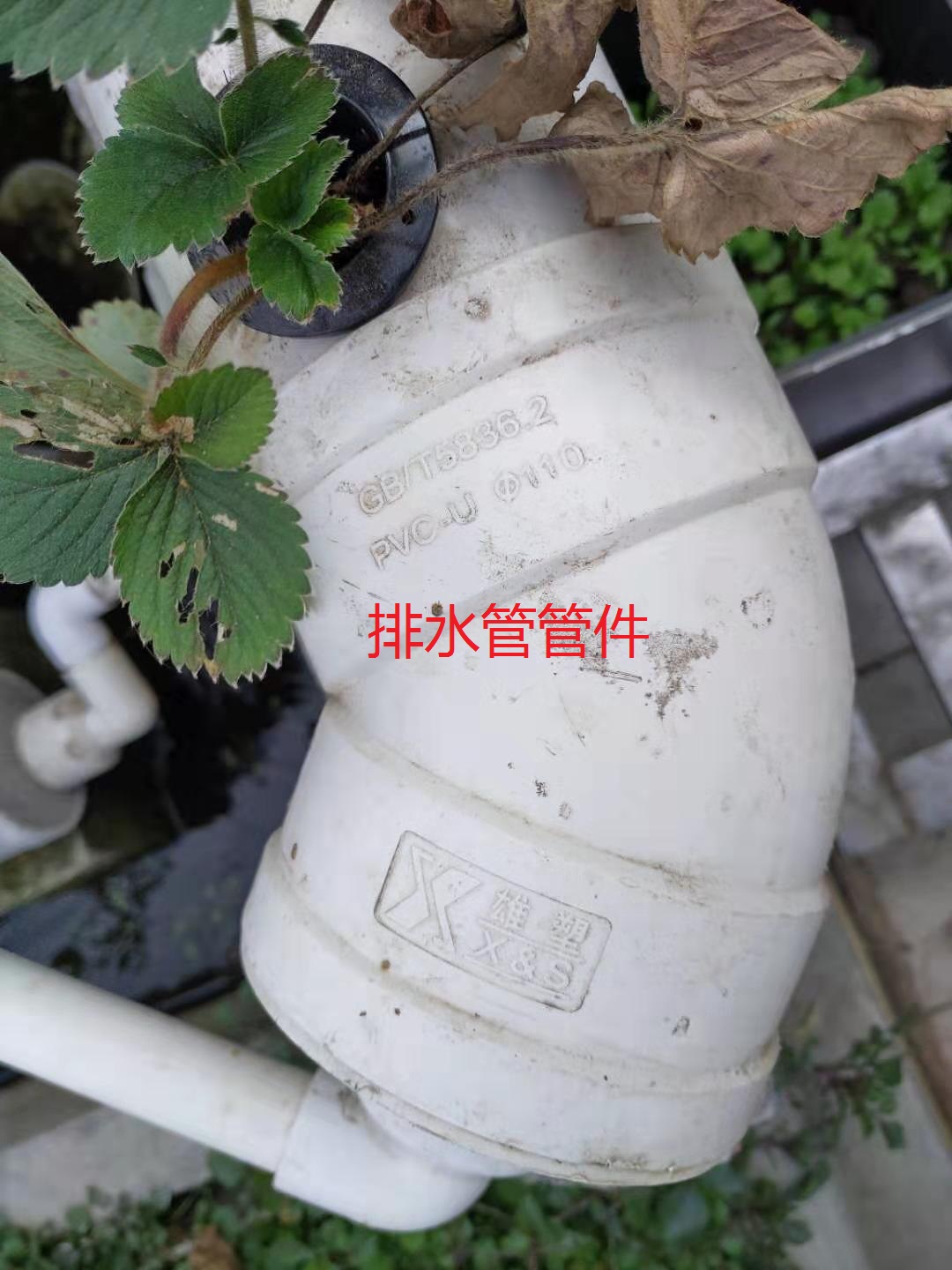 龟菜共生系统,龟菜共生图纸