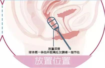 女人的第二张脸盆底肌,女人的第四张脸