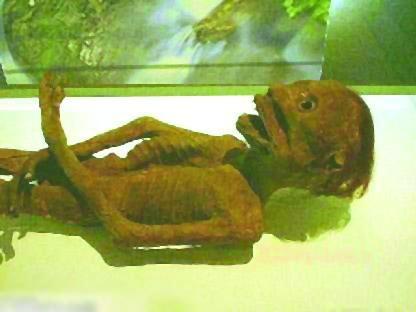 1991年日本河童现身,1991年日本河童上岸视频曝光