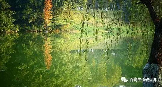 互助资金盘崩盘前信号,互助资金盘崩盘前奏